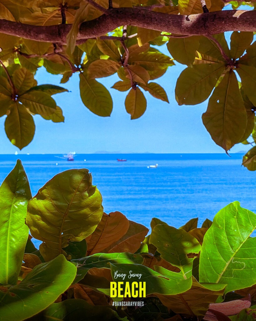 The image shows a tree branch with leaves in the foreground, with a body of water in the background. The setting appears to be a beach in Bang Saray.