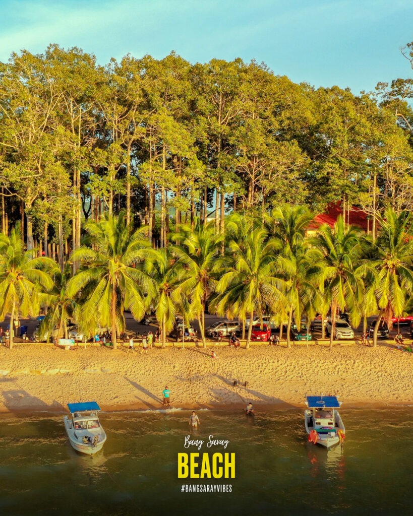 The picture depicts a tropical beach with boats, trees, and a cloudy sky, embodying a tropical setting with palm trees along the shore. It exudes a tranquil and calm atmosphere.